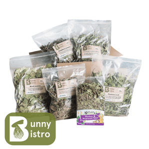 Bunny Bistro Deluxe Leafy Treat Box, featuring birch leaves, dandelion leaves, plantain & blackcurrant salad, plantain leaf, raspberry laces, and dandelion leaves and stalks.