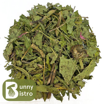 Bunny Bistro Dried Echinacea, overhead view showing natural dried herbal stems and leaves for rabbits and small pets.