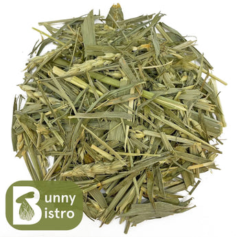 Bunny Bistro Green Wheat natural for rabbits, overhead view.