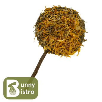 Bunny Bistro Marigold Forage Lolly, treat for small pets, dried grass & marigold on an applewood stick. Front view.