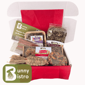 Bunny Bistro Monthly Forage Box - October 2026 🎃🦇