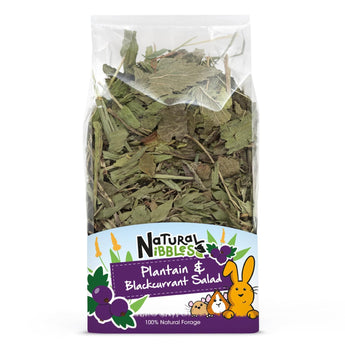 Natural Nibbles Plantain & Blackcurrant Salad for small pets. Clear bag showing dried ribwort plantain and blackcurrants.
