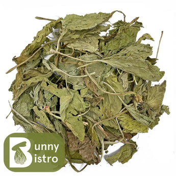 Bunny Bistro Plantain Leaves for Rabbits, overhead view of natural forage for rabbits and small pets.