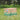 Bunny Bistro Premium Timothy Hay 1st Cut 4kg Box on grass with white flowers.