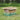 Bunny Bistro Premium Timothy Hay 1st Cut 4kg Box