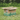 Bunny Bistro Premium Timothy Hay 1st Cut 4kg Box, open on grass with white flowers, side view.