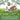 Bunny Bistro Premium Timothy Hay 2nd Cut 1kg Bale