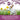 Bunny Bistro Premium Timothy Hay with Flowers 1kg Bale