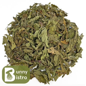 Bunny Bistro Spearmint Leaves, natural forage for rabbits and small pets.