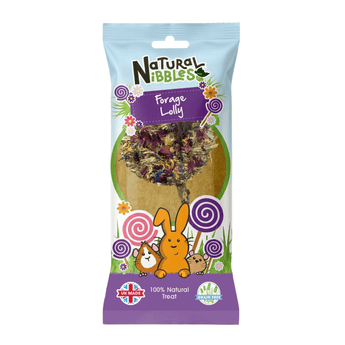 Natures Grub Forage Lolly 45g