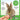 Natures Grub Trade Natural Nibbles ProCare+ Multi-Vitamin