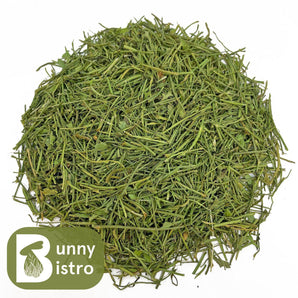 Bunny Bistro Coriander Stalks, overhead view of natural forage for rabbits and small pets.