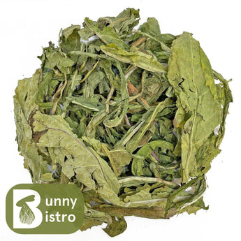 Bunny Bistro Dandelion Leaf Premium, overhead view of natural forage for rabbits and small pets.