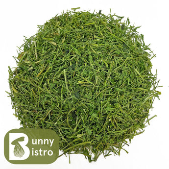 Bunny Bistro Parsley Stalks, overhead view of natural forage for rabbits and small pets.