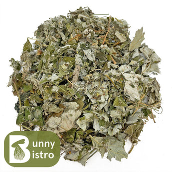 Bunny Bistro Raspberry Leaves, overhead view of natural forage for rabbits and small pets.
