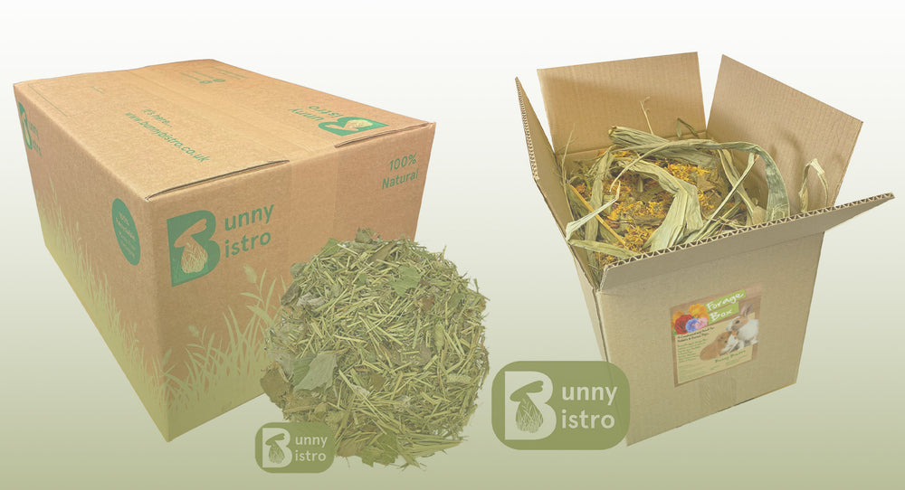 Hay and Botanical Boxes | Bunny Bistro
