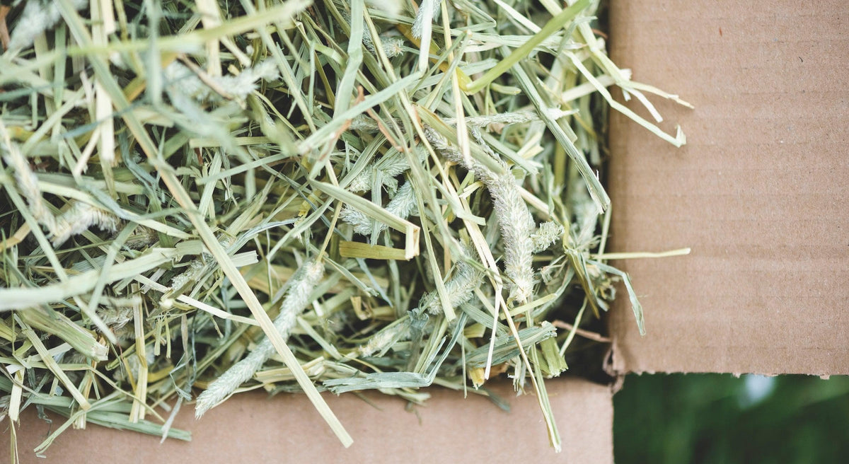 Bunny Bistro UK | The Home of Natural Forage | Rabbit & Pet Food