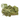 Dandelion Leaf Premium