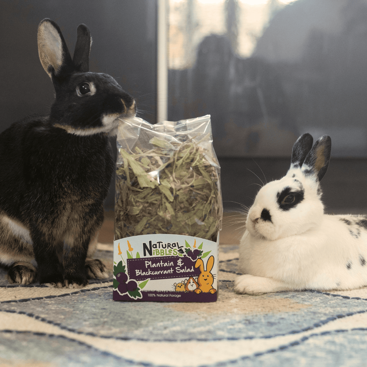 Bunny Bistro UK | The Home of Natural Forage | Rabbit & Pet Food
