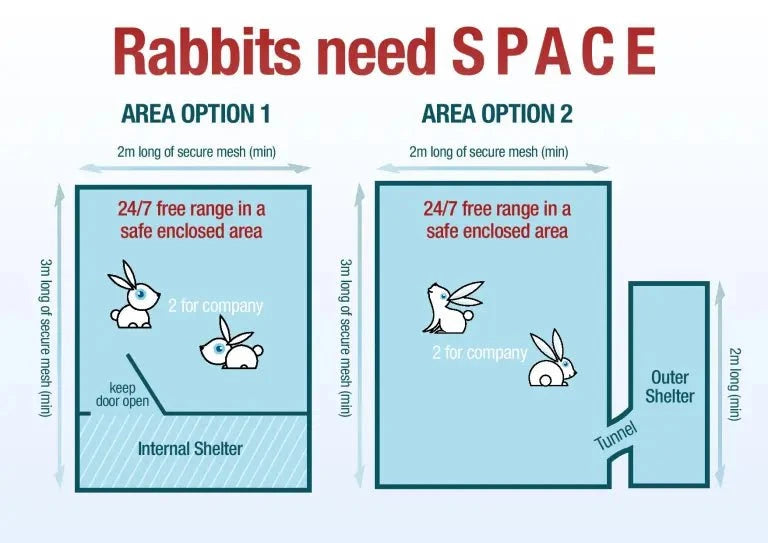 Bunny Bistro