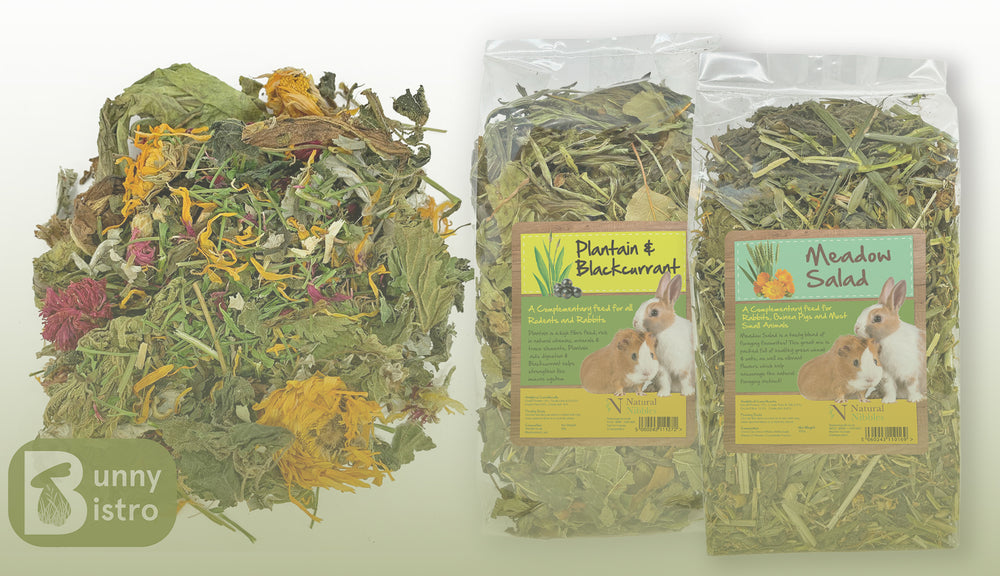 Natural Forage Blends for Rabbits, Guinea Pigs and other furry pets | Bunny Bistro