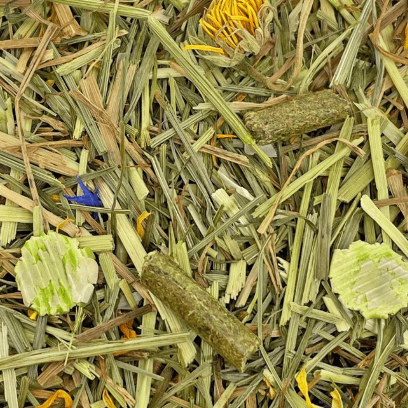 Complete Rabbit Mix | Natural Forage Treat for Bunnies – Bunny Bistro