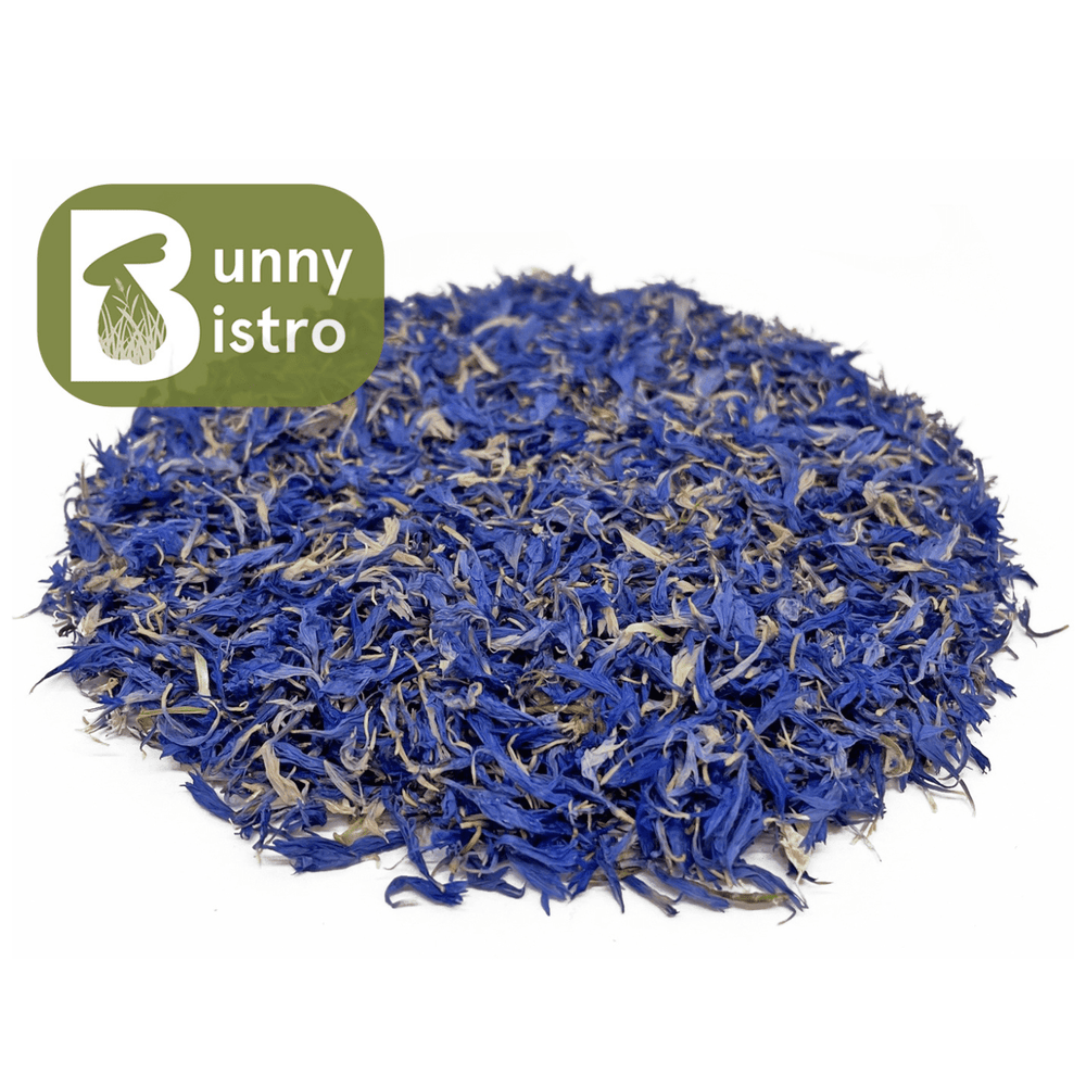 
                      
                        Bunny Bistro Cornflower Petals - Blue
                      
                    