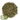 Bunny Bistro Dandelion Leaf Standard