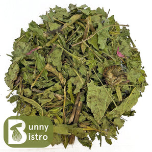 Bunny Bistro Dried Echinacea, overhead view showing natural dried herbal stems and leaves for rabbits and small pets.