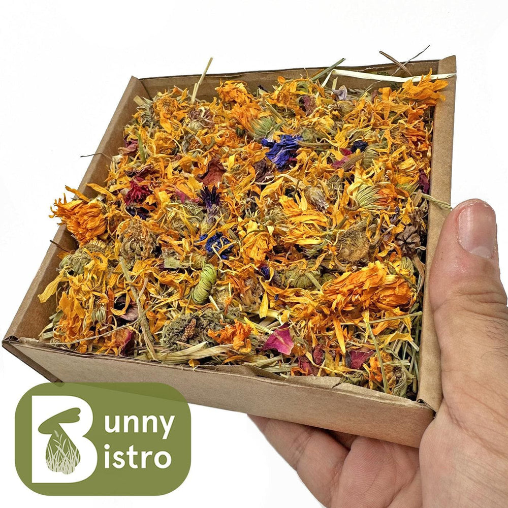 
                  
                    Load image into Gallery viewer, Bunny Bistro Flower Forage Tray
                  
                