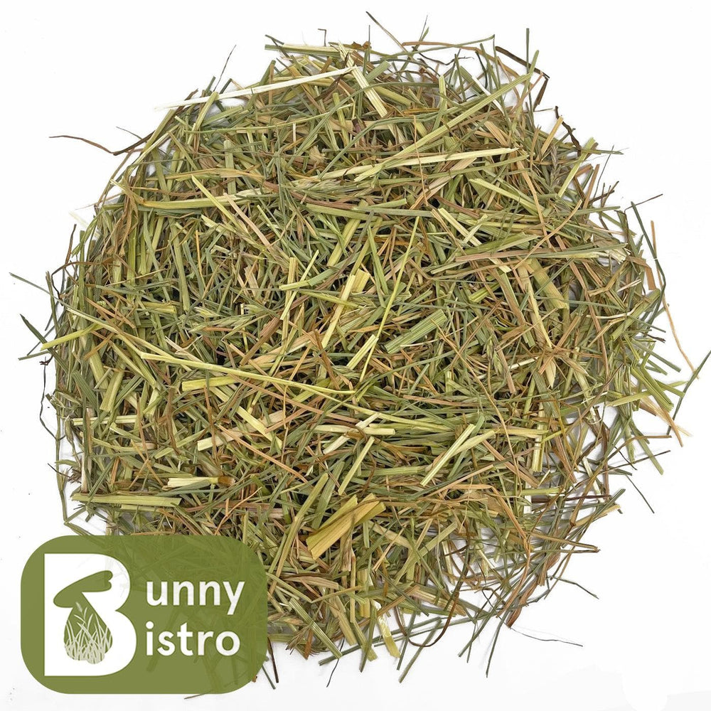 Bunny Bistro Grazing Grass