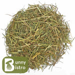 Bunny Bistro Grazing Grass