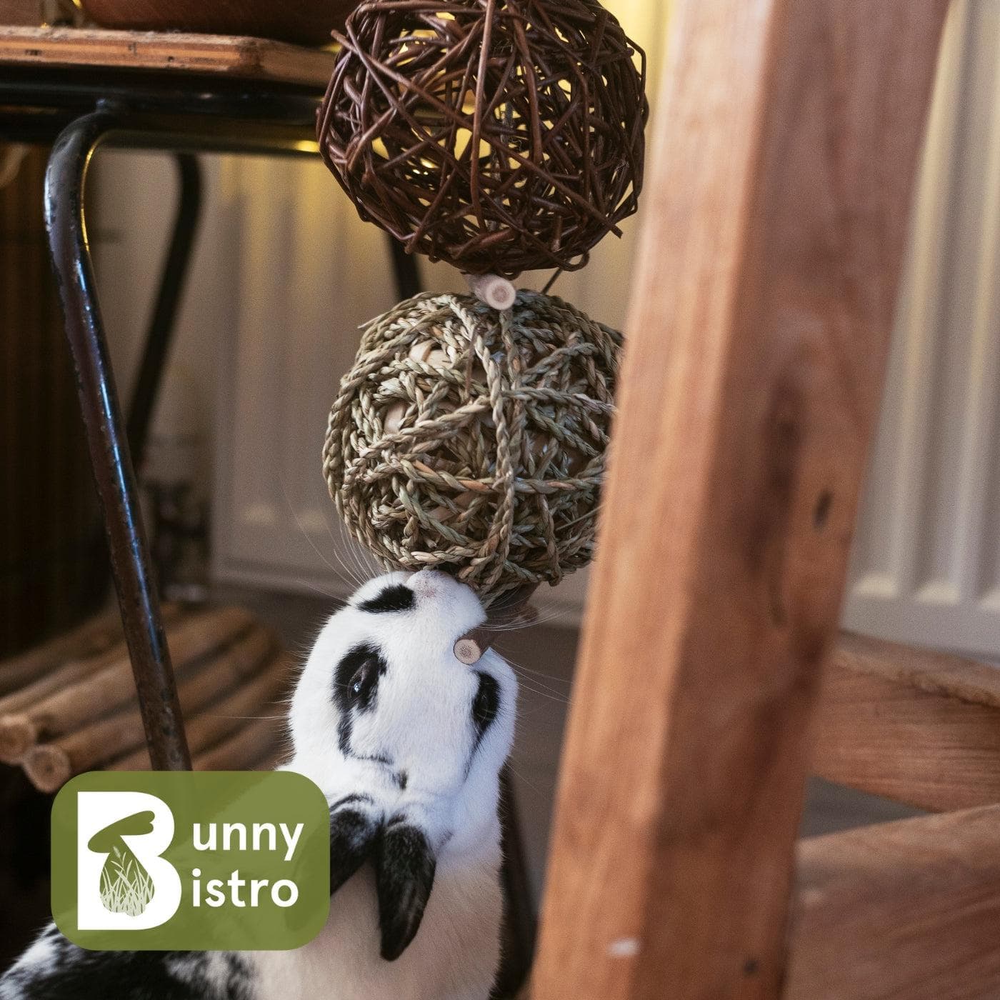 Hanging Play Balls | Natural Hanging Chew Toy for Rabbits – Bunny Bistro