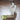 Bunny Bistro Meadow Munch Toy Bundle