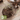 Bunny Bistro Medium Willow Toy Bundle