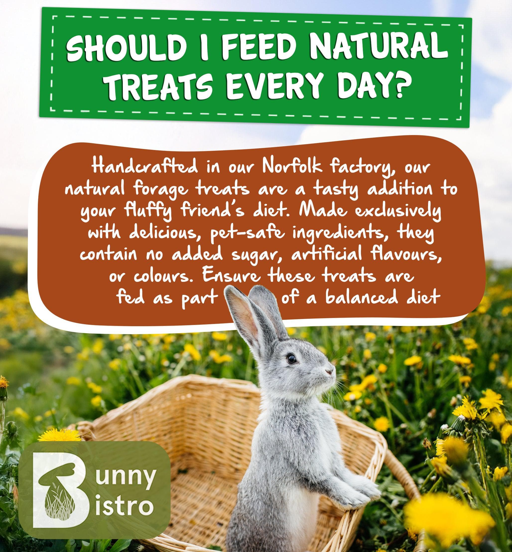 Forage Subscription Box Monthly Forage Box | Natural Bunny Treat Bundle – Bunny Bistro