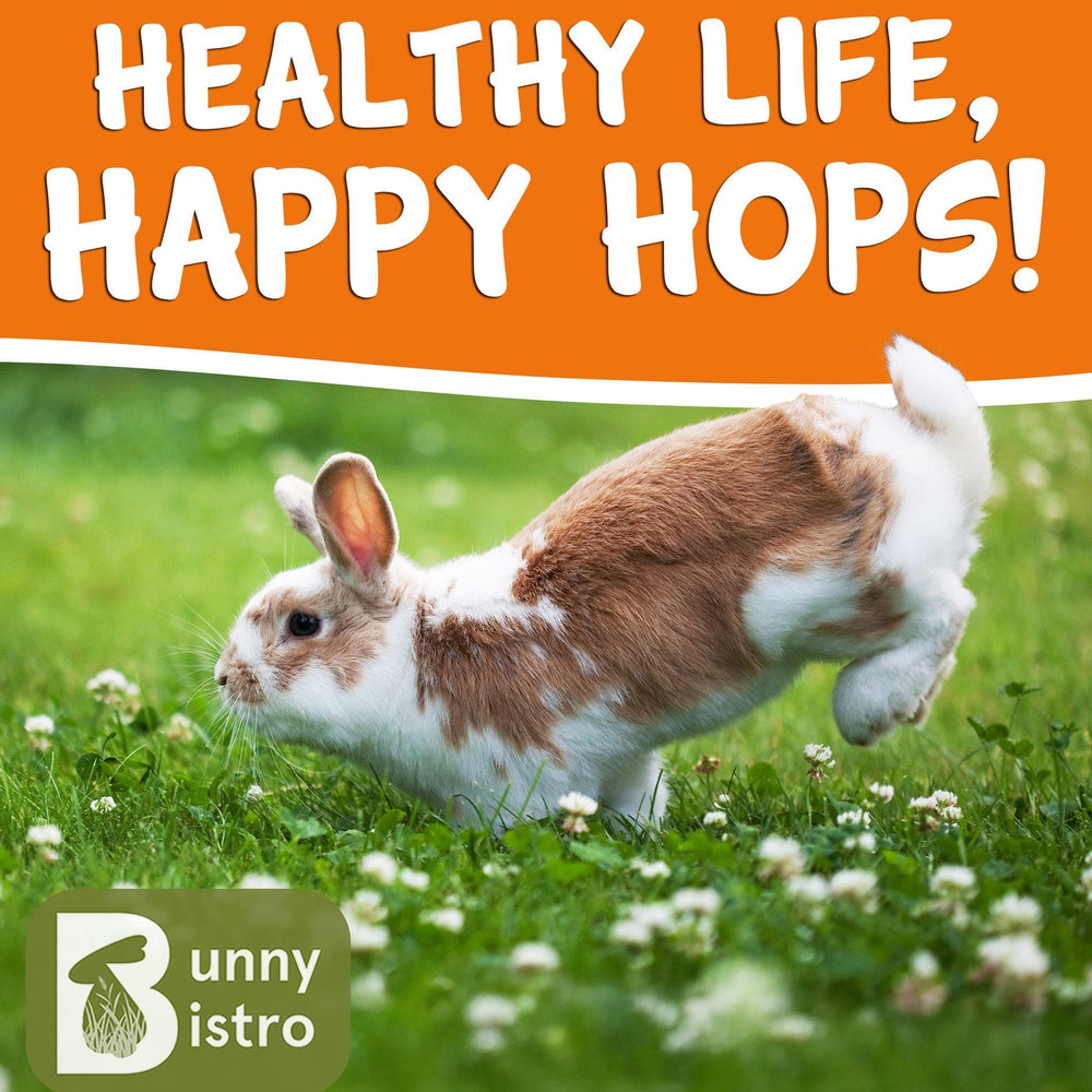 
                      
                        Bunny Bistro Monthly Forage Box - May 2025
                      
                    