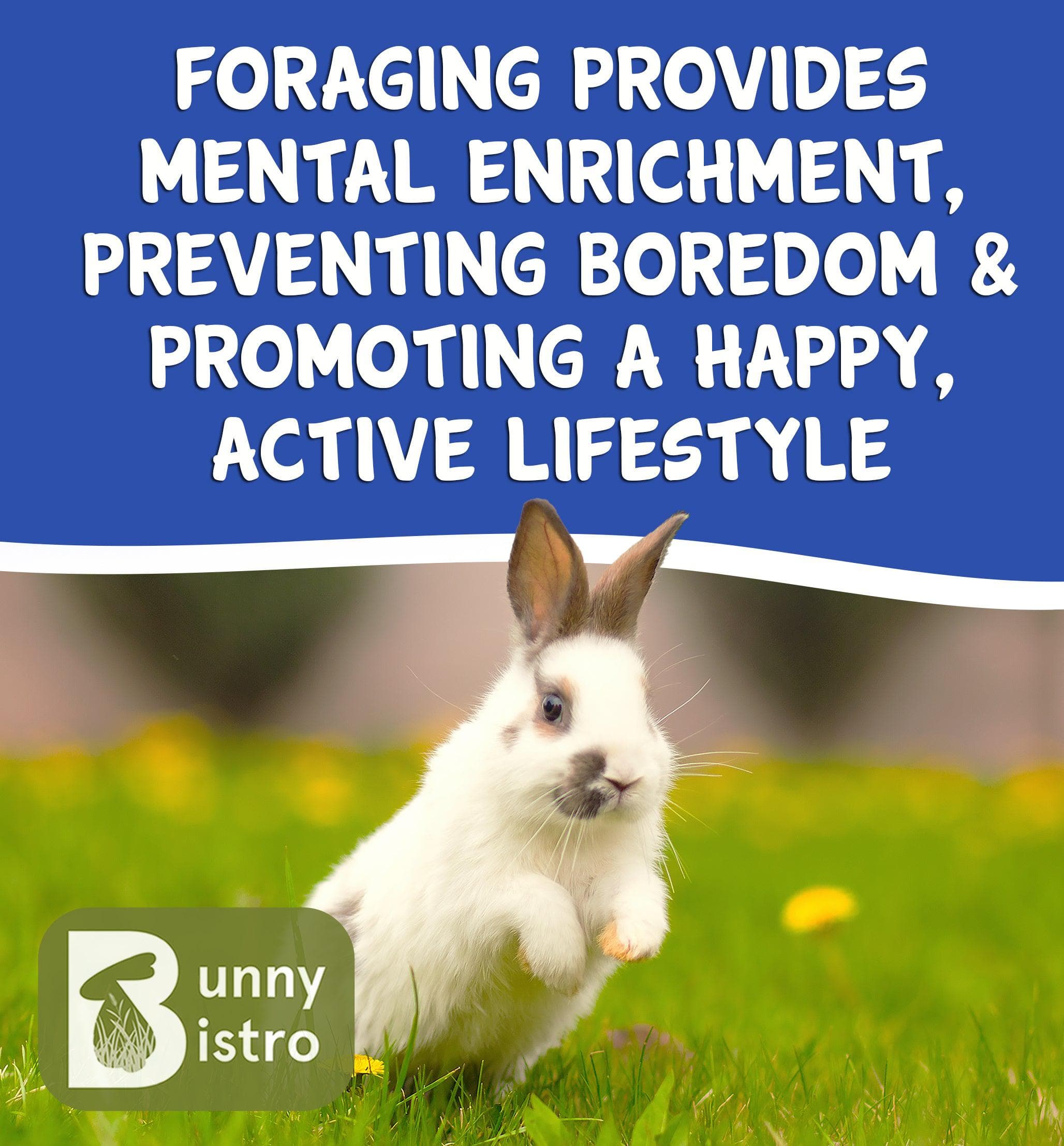 Forage Subscription Box Monthly Forage Box | Natural Bunny Treat Bundle – Bunny Bistro
