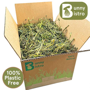 
                  
                    Load image into Gallery viewer, Bunny Bistro Norfolk Nettle Stalks Box
                  
                