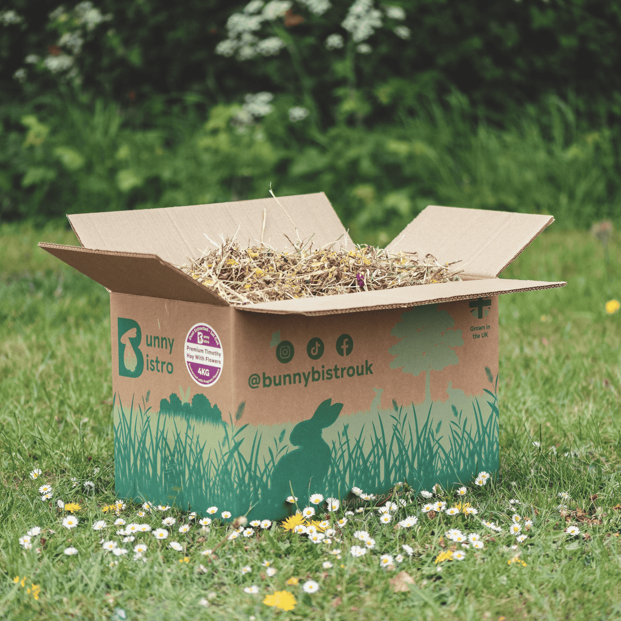 Premium Timothy Hay with Flowers – 4kg Box of UK-Grown Forage for ...