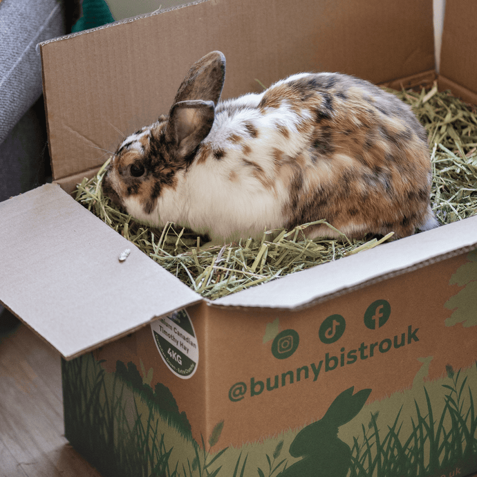 Bunny Bistro Premium Canadian Timothy Hay 4kg Box