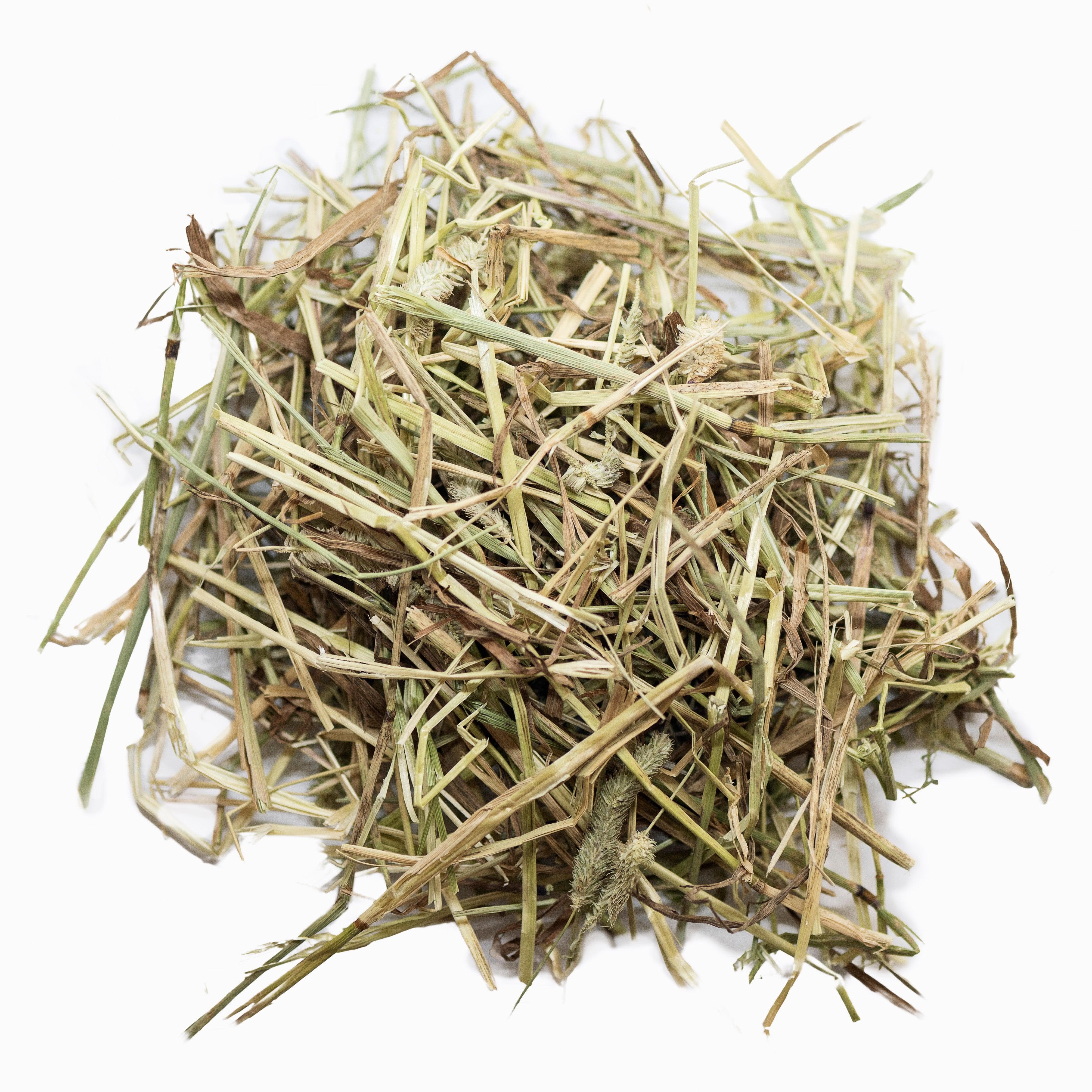 Timothy Hay 1st Cut 1kg - Gnaw & Graze Bundle – Bunny Bistro