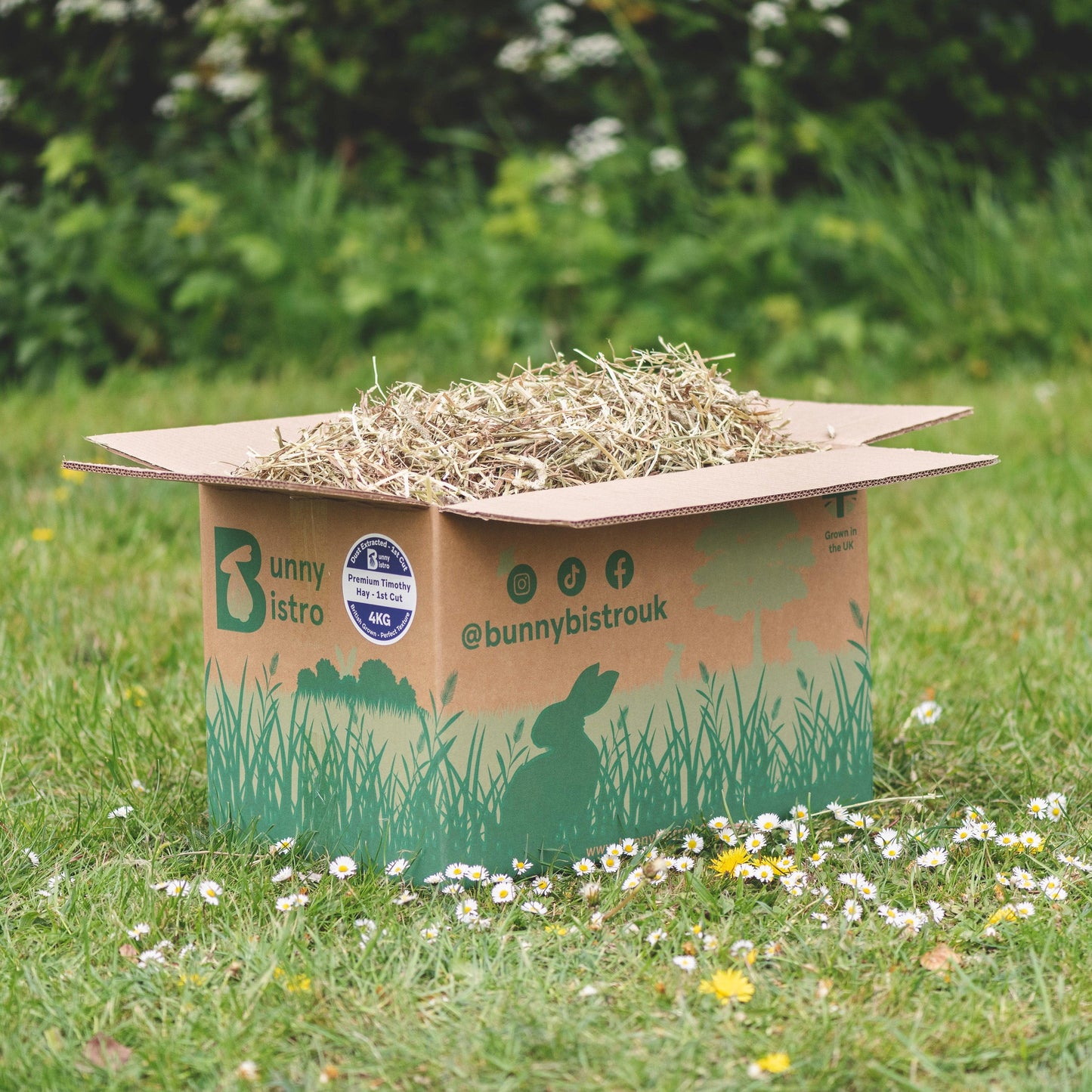 Bunny Bistro Premium Timothy Hay 1st Cut 4kg Box
