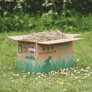 Bunny Bistro Premium Timothy Hay 1st Cut 4kg Box, open on grass with white flowers, side view.