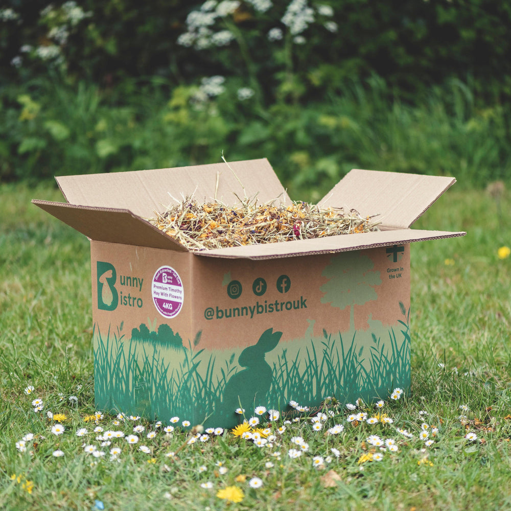 Bunny Bistro Premium Timothy Hay with Flowers 4kg Box