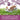 Bunny Bistro Premium Timothy Hay with Flowers 4kg Box