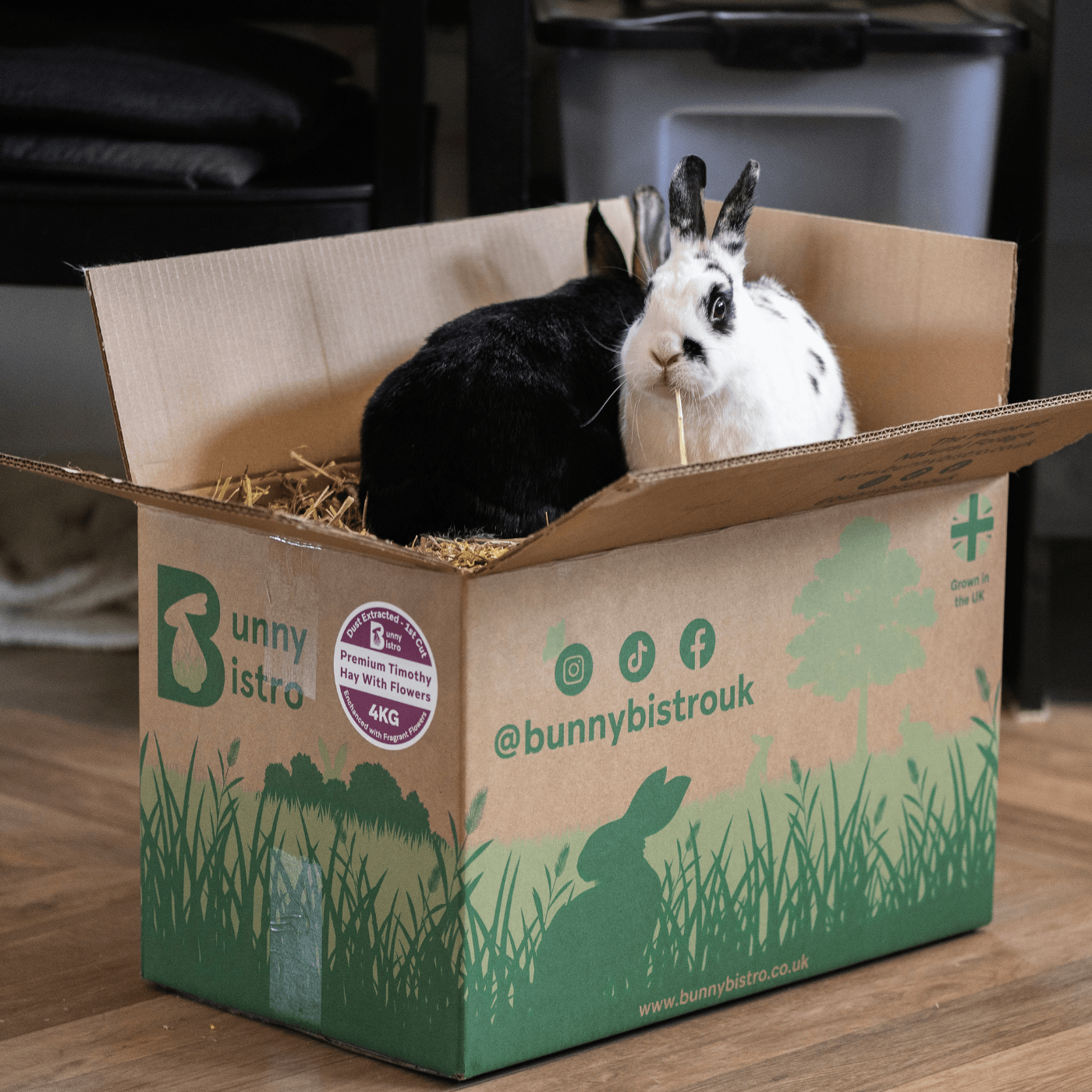 Timothy Hay with Flowers 4kg Box - Appetite Boost Bundle – Bunny Bistro