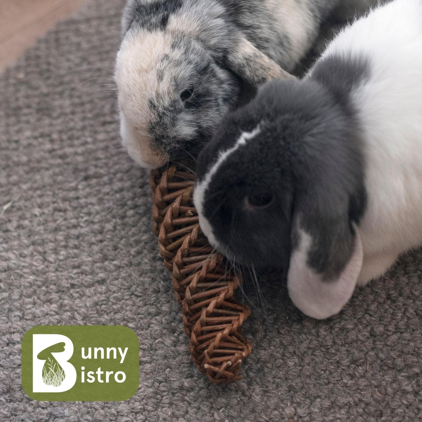 Willow Spiral | Natural Enrichment Chew Toy for Rabbits – Bunny Bistro