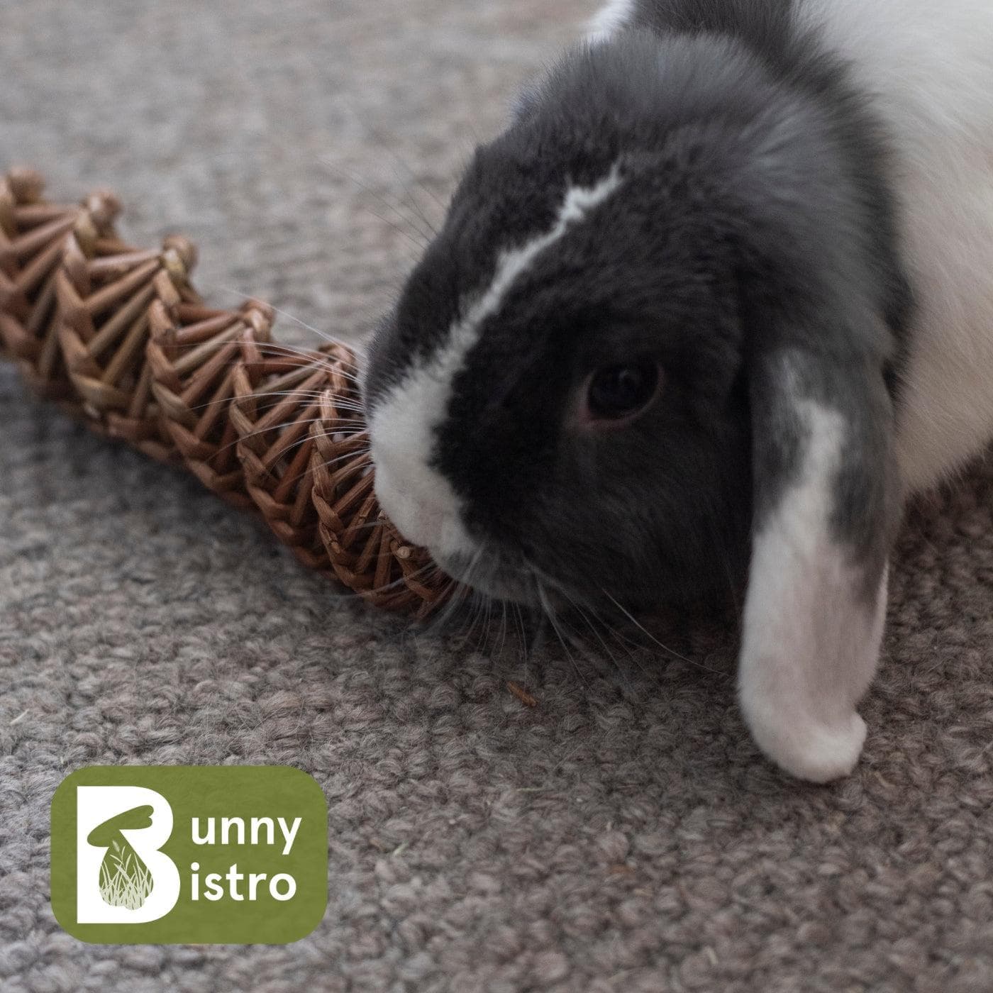 Willow Spiral | Natural Enrichment Chew Toy for Rabbits – Bunny Bistro