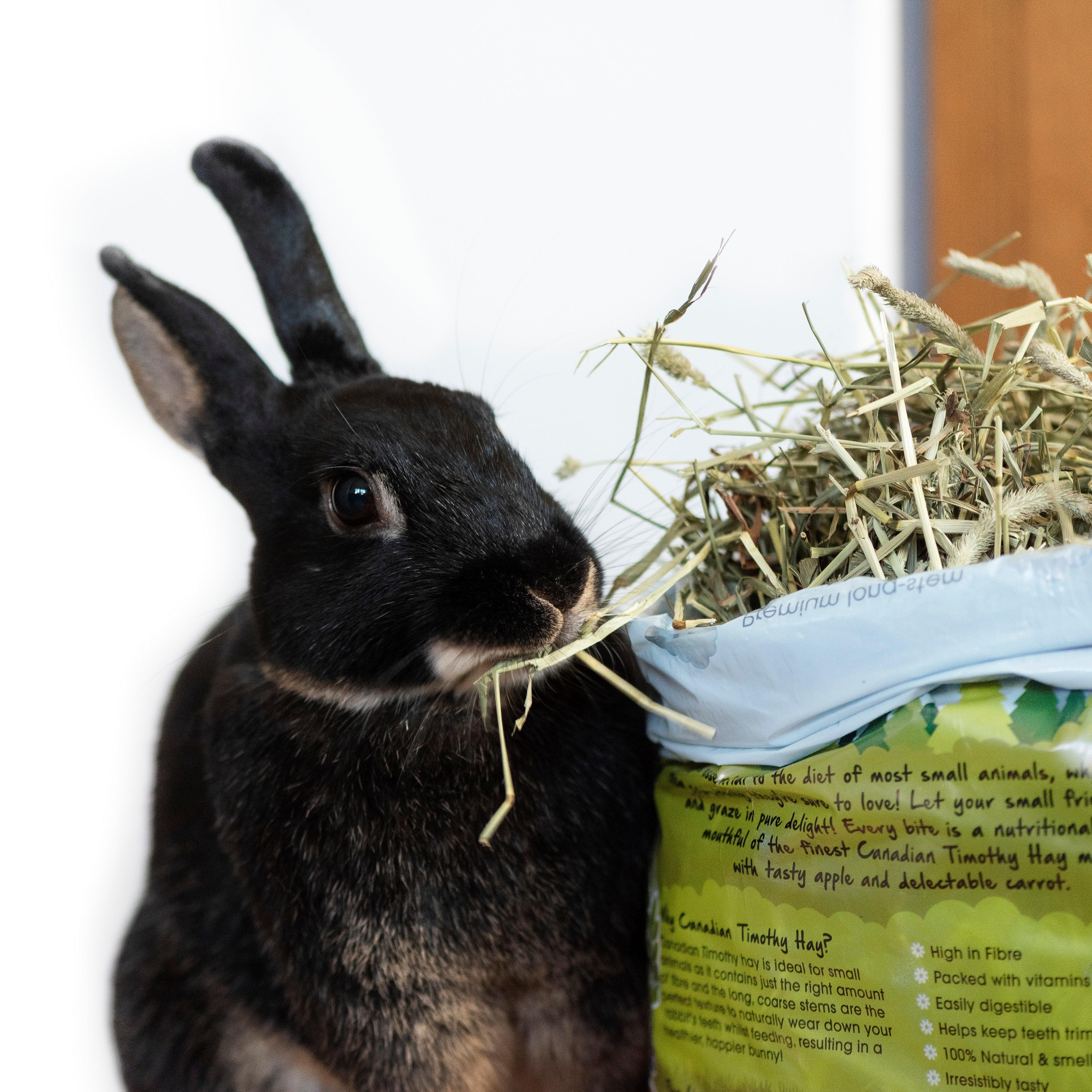 Timphy Hay Canadian Timothy Hay with Marigold & Cornflower 500g – Bunny Bistro